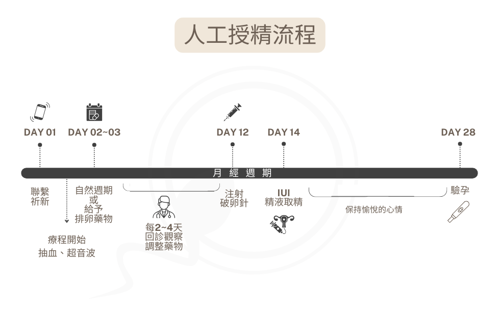 正常行房6個月,受孕機率圖