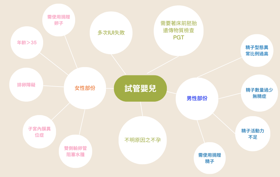 正常行房6個月,受孕機率圖