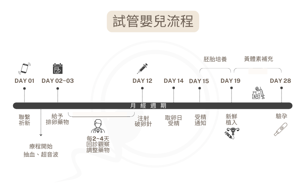 正常行房6個月,受孕機率圖