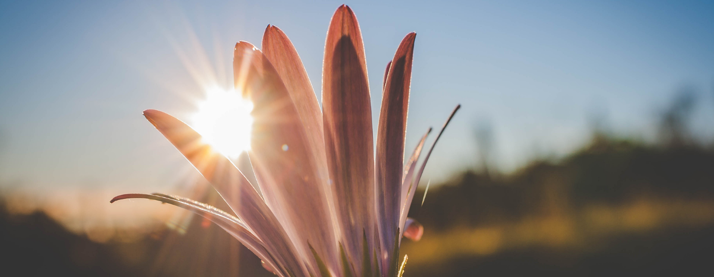 不是找到唯一的原因，而是在不確定中，把能做的都做到2