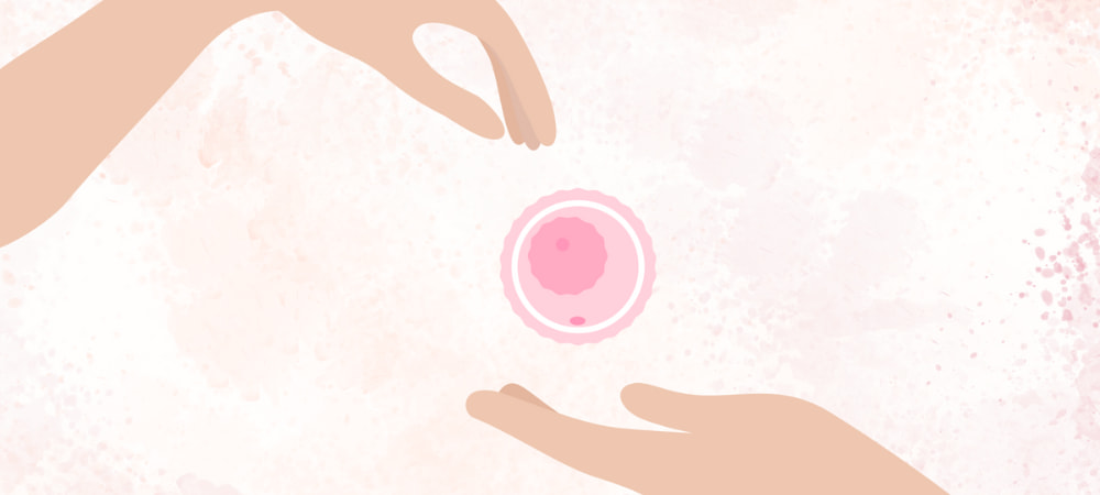 捐卵是什麼?怎麼捐?詳解捐卵條件、限制及取卵前後飲食! 捐卵是什麼?怎麼捐?詳解捐卵條件、限制及取卵前後飲食!