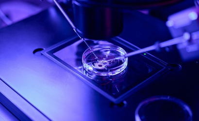 試管嬰兒是什麼？流程、費用、補助及人工受孕差異全解析！