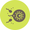 icon-005