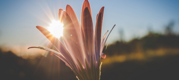 不是找到唯一的原因，而是在不確定中，把能做的都做到