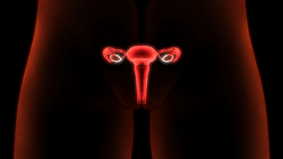 iStock-868336282