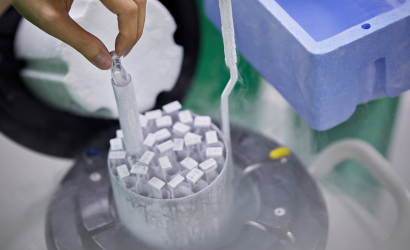 凍卵可以放多久？凍卵保存期限、存活率與風險一次說清楚