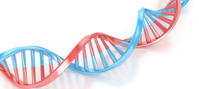 dna