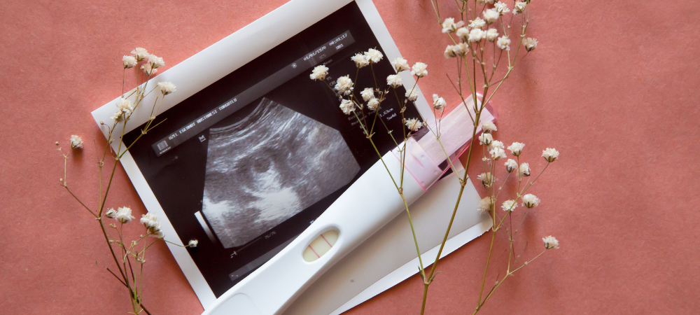 試管嬰兒 補助3.0上路 2 試管嬰兒 補助3.0上路 2